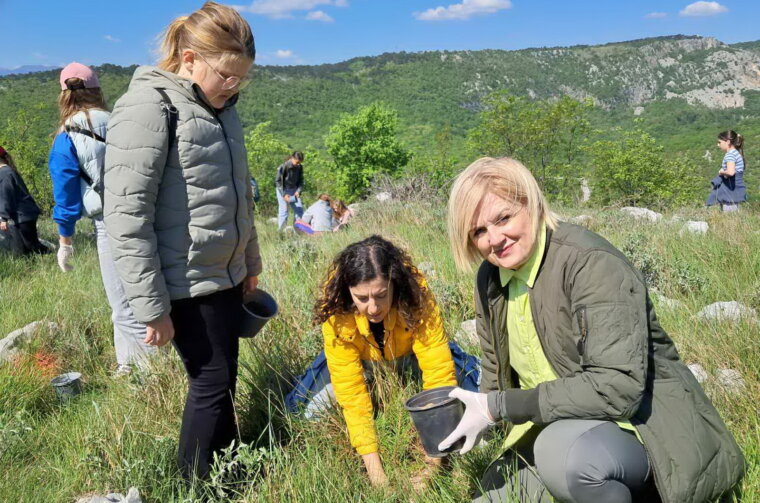 Sadnja-borova-na-Svilnom-za-Dan-planeta-Zemlje