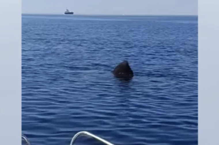 Screenshot 2026-04-20 at 14.59.45