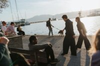 Seagulls take off early_26042026-73