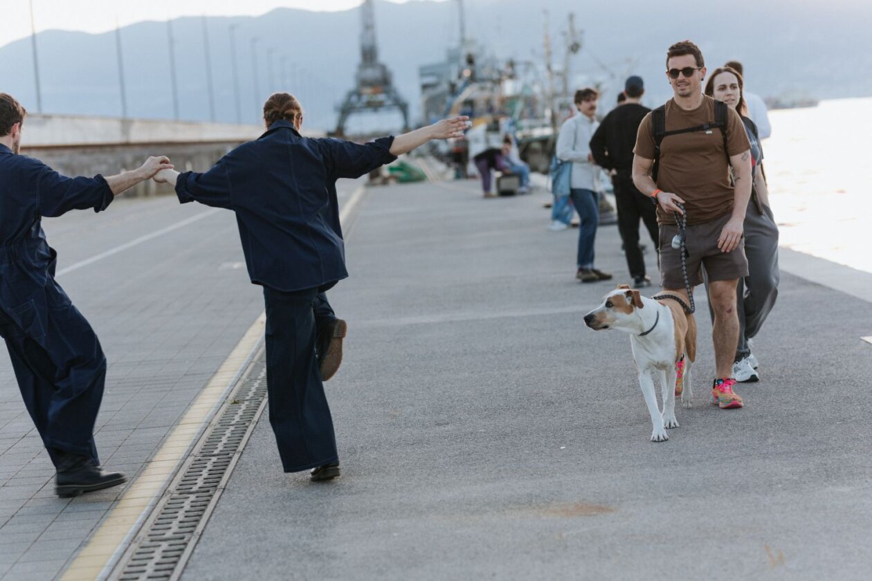 Seagulls take off early_26042026-93