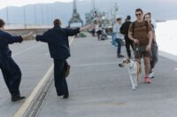 Seagulls take off early_26042026-93