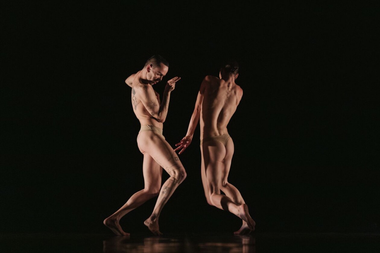 Tripofobia_24042026-18