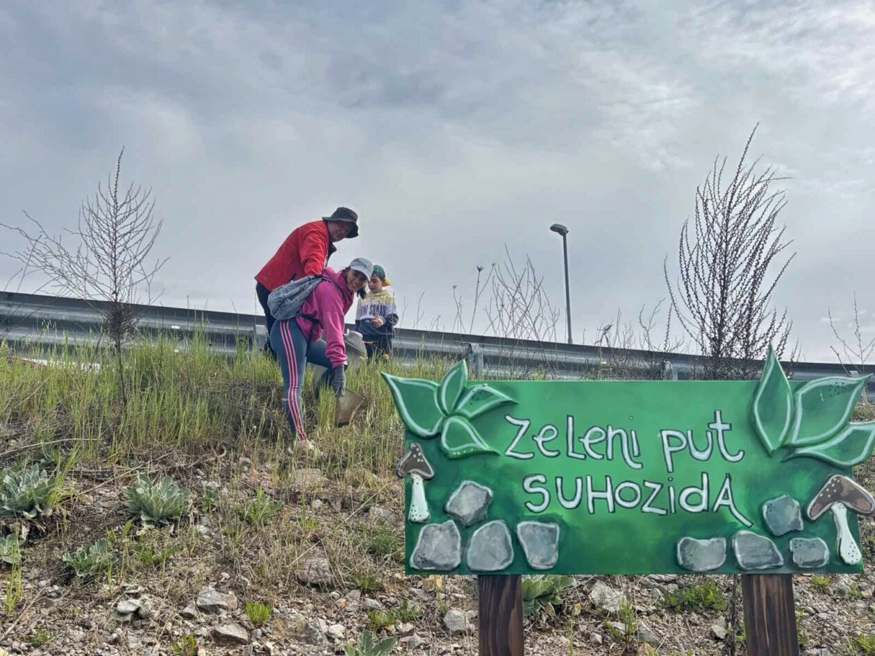 čistka 16 čistka 16