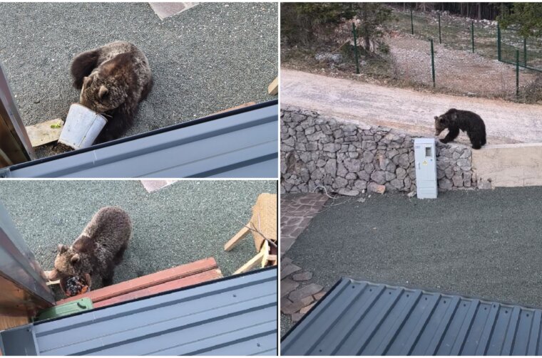 medo mrkopalj naslovna