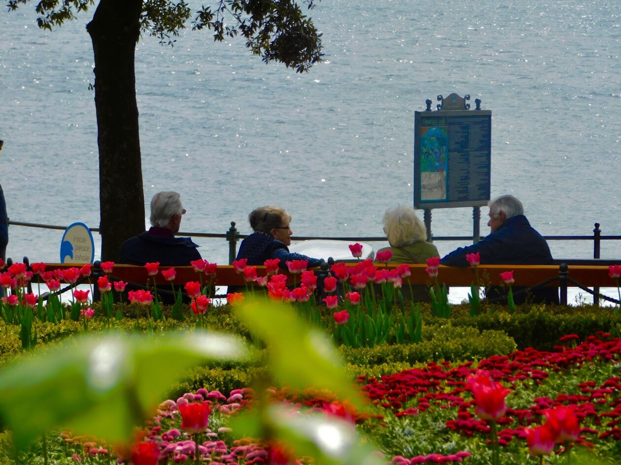 opatija proljece (7)