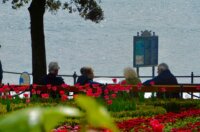 opatija proljece (7)