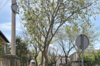 trsat akcija ciscenja (3)