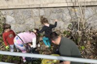 trsat akcija ciscenja (6)