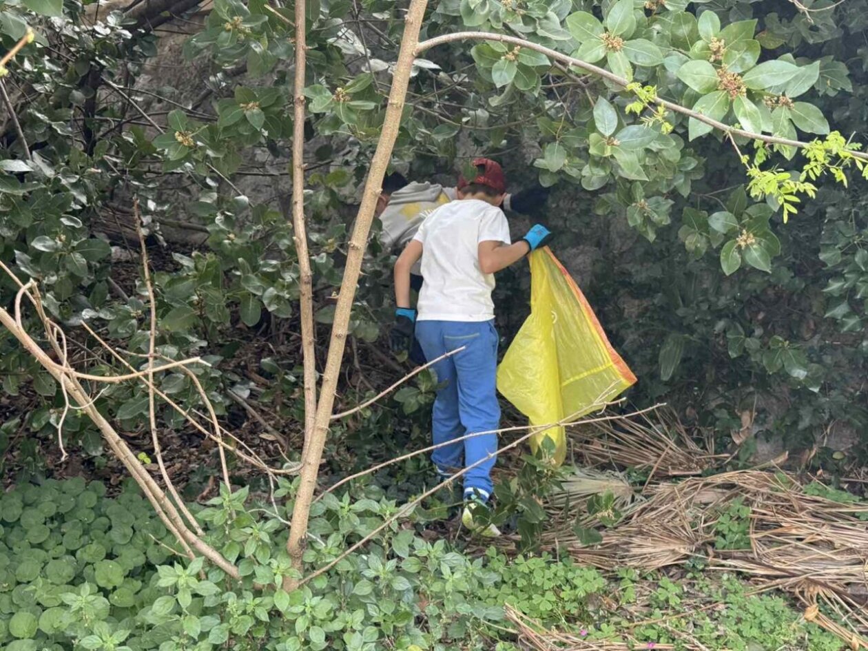 trsat akcija ciscenja (7)