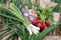 Foto Luigi Opatija, Grad Opatija, Veliki petak na mrkate Opatija Foto Luigi Opatija, Grad Opatija, Veliki petak na mrkate Opatija