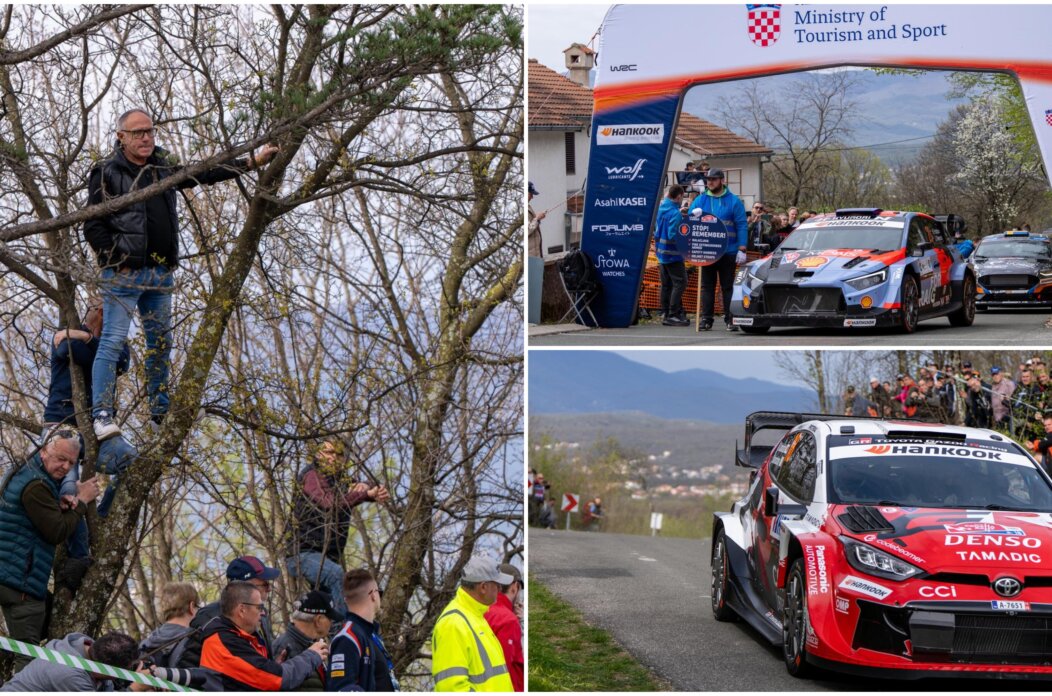 wrc saršoni