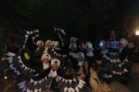 siti i pijani budva svibanj 2026 18