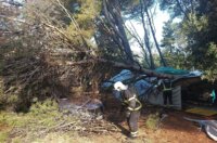pijavica lošinj ljeto 2026 1 pijavica lošinj ljeto 2026 1
