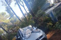 pijavica lošinj ljeto 2026 111 pijavica lošinj ljeto 2026 111