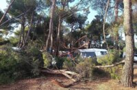 pijavica lošinj ljeto 2026 133 pijavica lošinj ljeto 2026 133