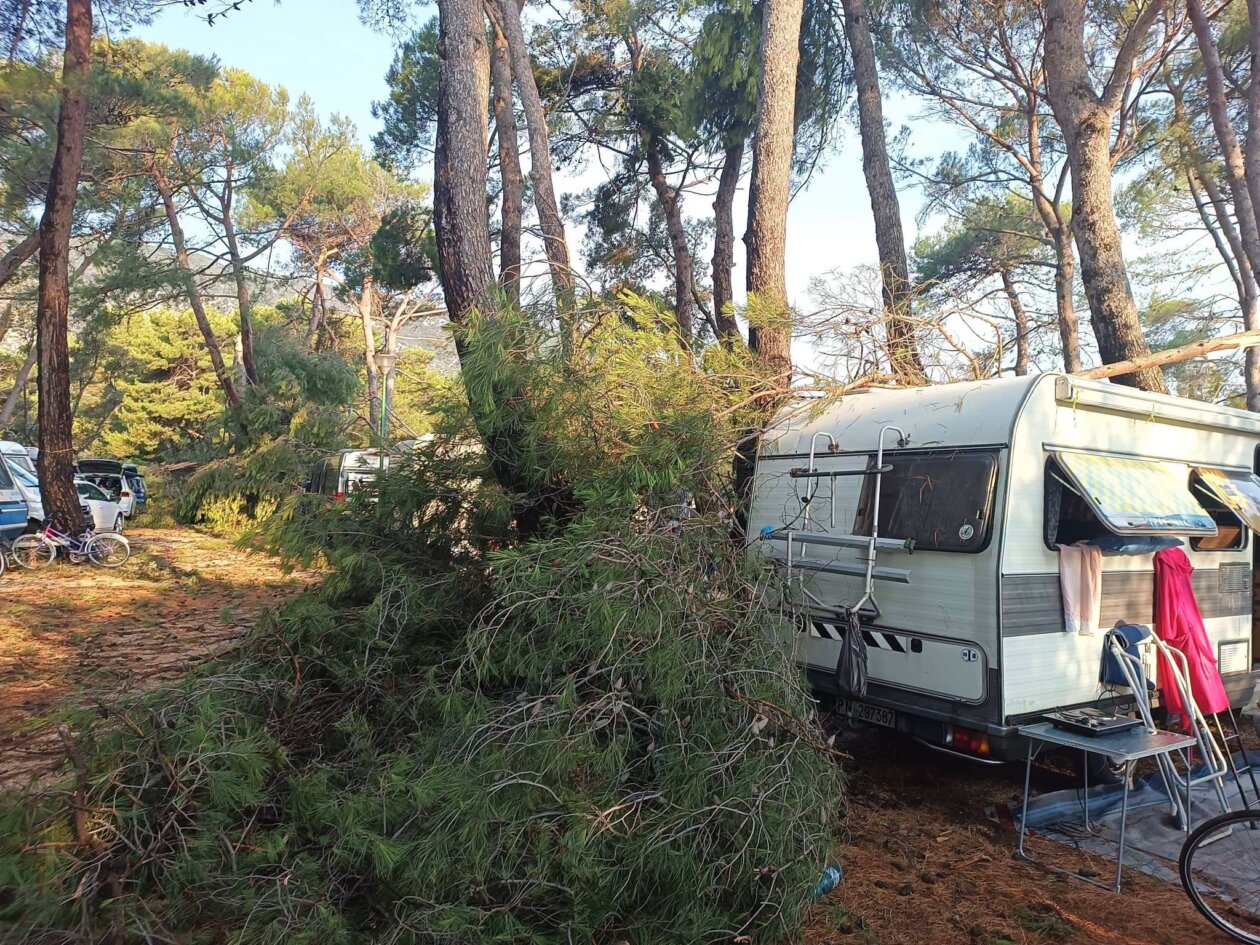 pijavica lošinj ljeto 2026 14 pijavica lošinj ljeto 2026 14