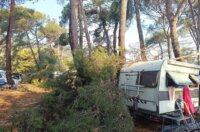 pijavica lošinj ljeto 2026 14 pijavica lošinj ljeto 2026 14