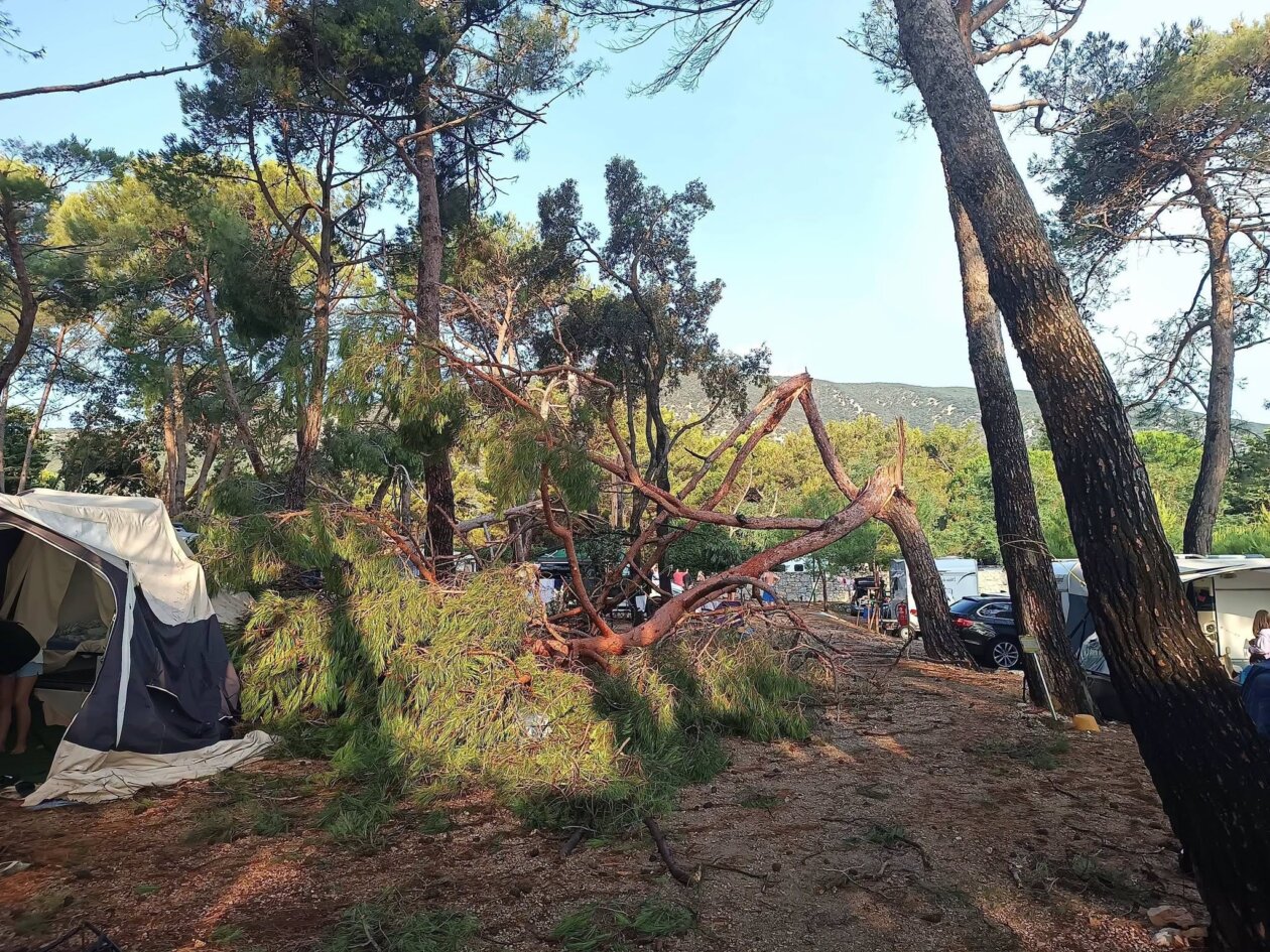 pijavica lošinj ljeto 2026 15 pijavica lošinj ljeto 2026 15