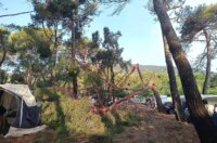 pijavica lošinj ljeto 2026 15 pijavica lošinj ljeto 2026 15