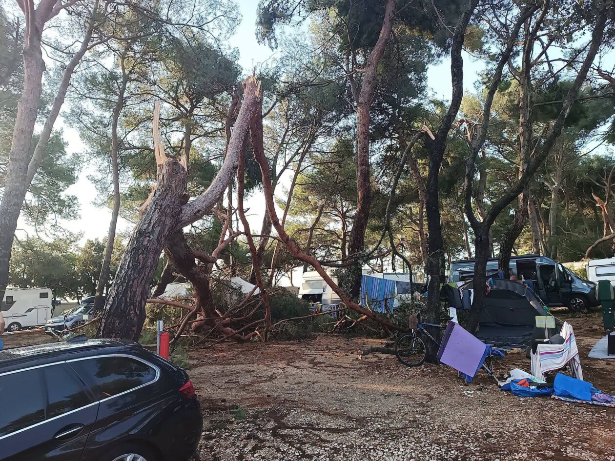 pijavica lošinj ljeto 2026 16 pijavica lošinj ljeto 2026 16