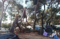 pijavica lošinj ljeto 2026 16 pijavica lošinj ljeto 2026 16