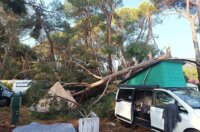 pijavica lošinj ljeto 2026 18 pijavica lošinj ljeto 2026 18