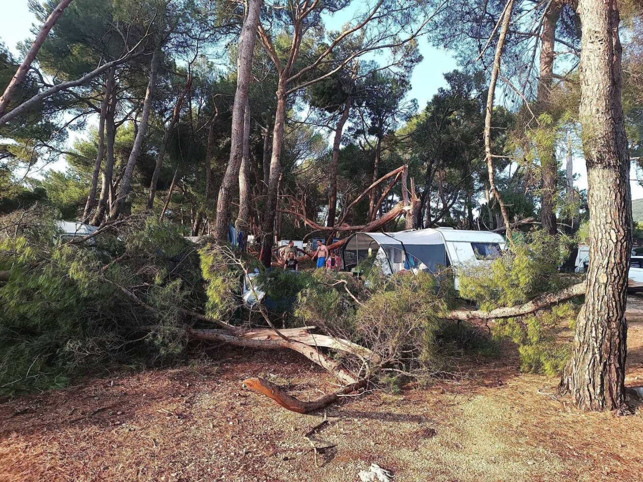 pijavica lošinj ljeto 2026 19 pijavica lošinj ljeto 2026 19