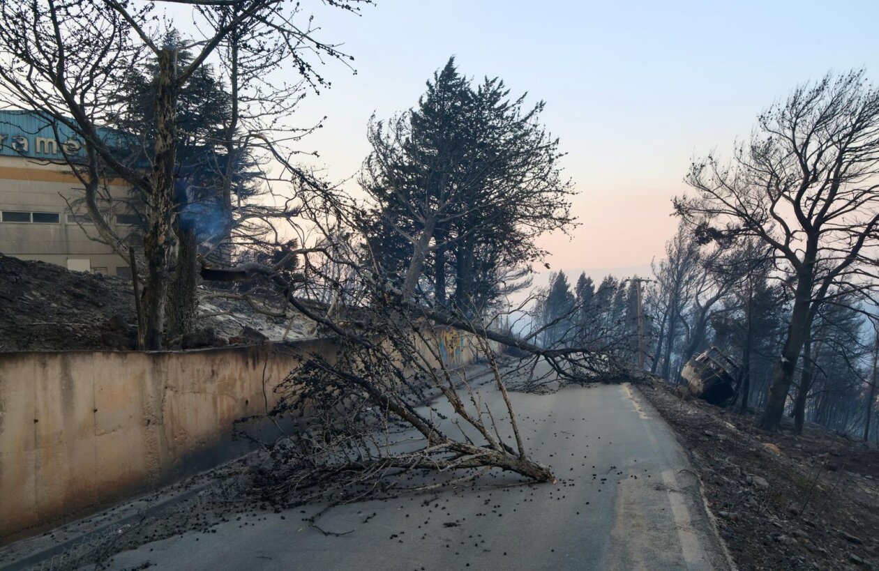Posljedice požara kod Omiša Posljedice požara kod Omiša