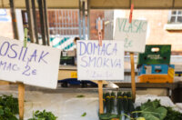 Placa Tržnica-2677