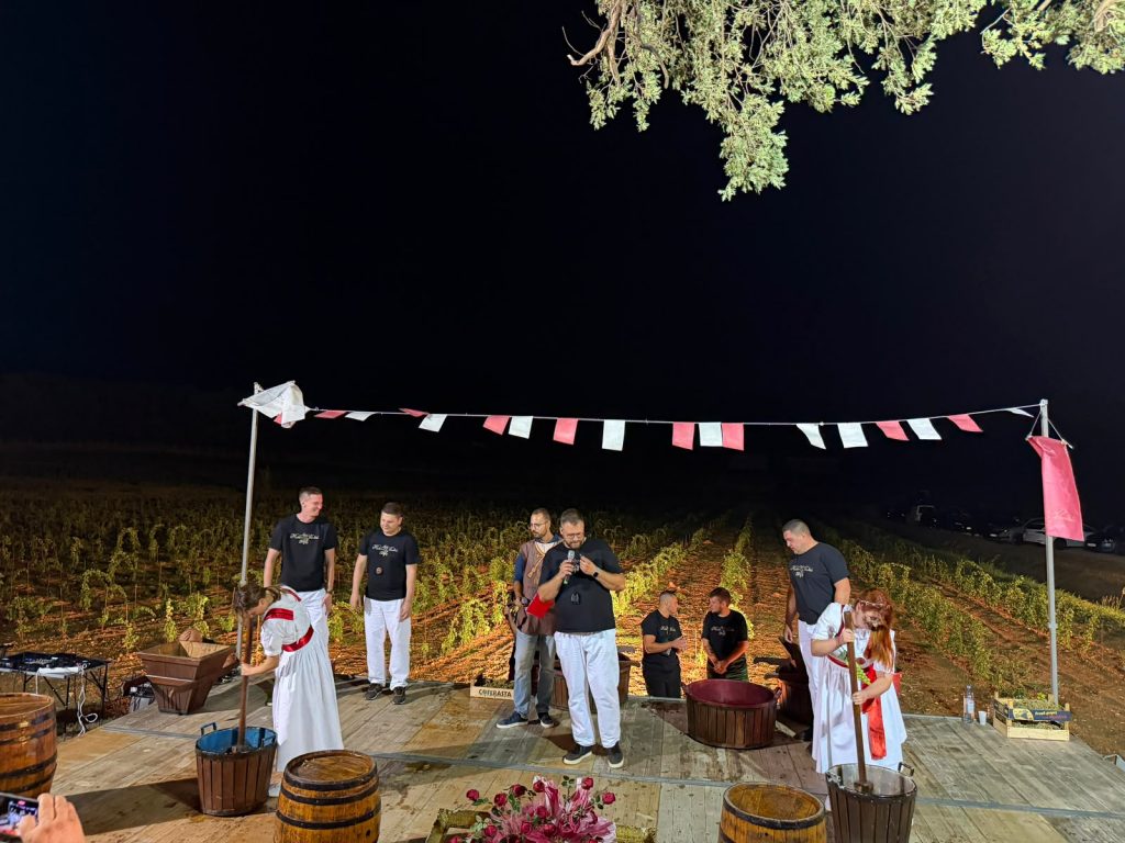 ruzica vinodola (4) ruzica vinodola (4)
